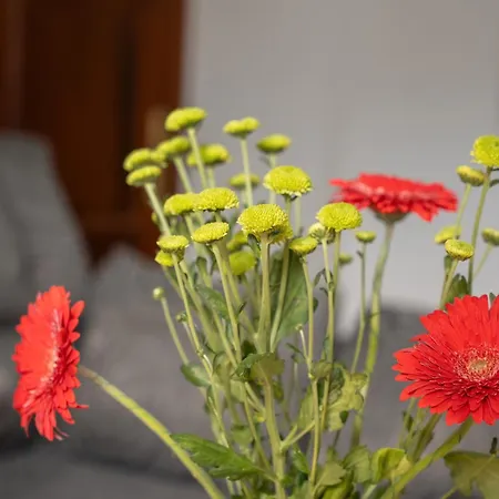 아파트 Casa Volcan Y Mar 2 Derecha *