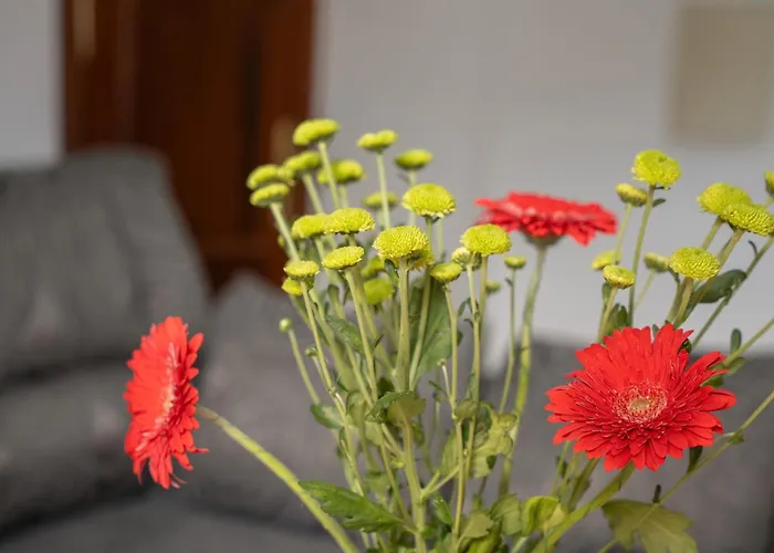 شقة Casa Volcan Y Mar 2 Derecha *